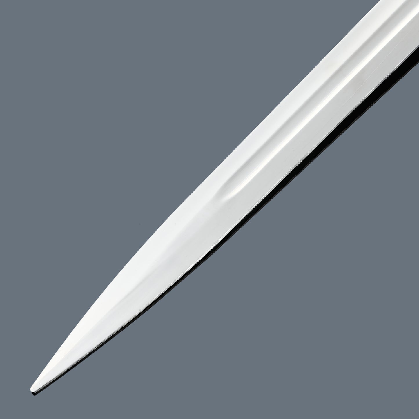 (24)EUROPEAN SWORD
