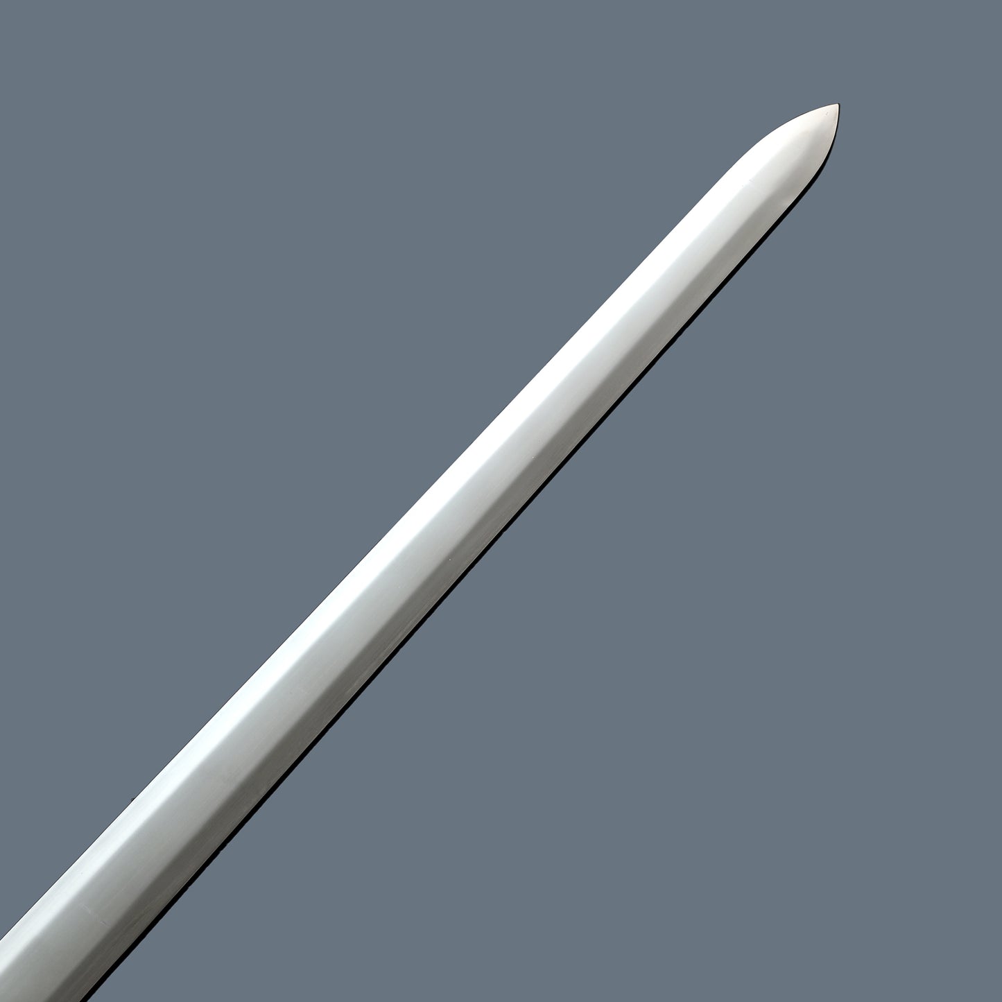 (19)EUROPEAN SWORD