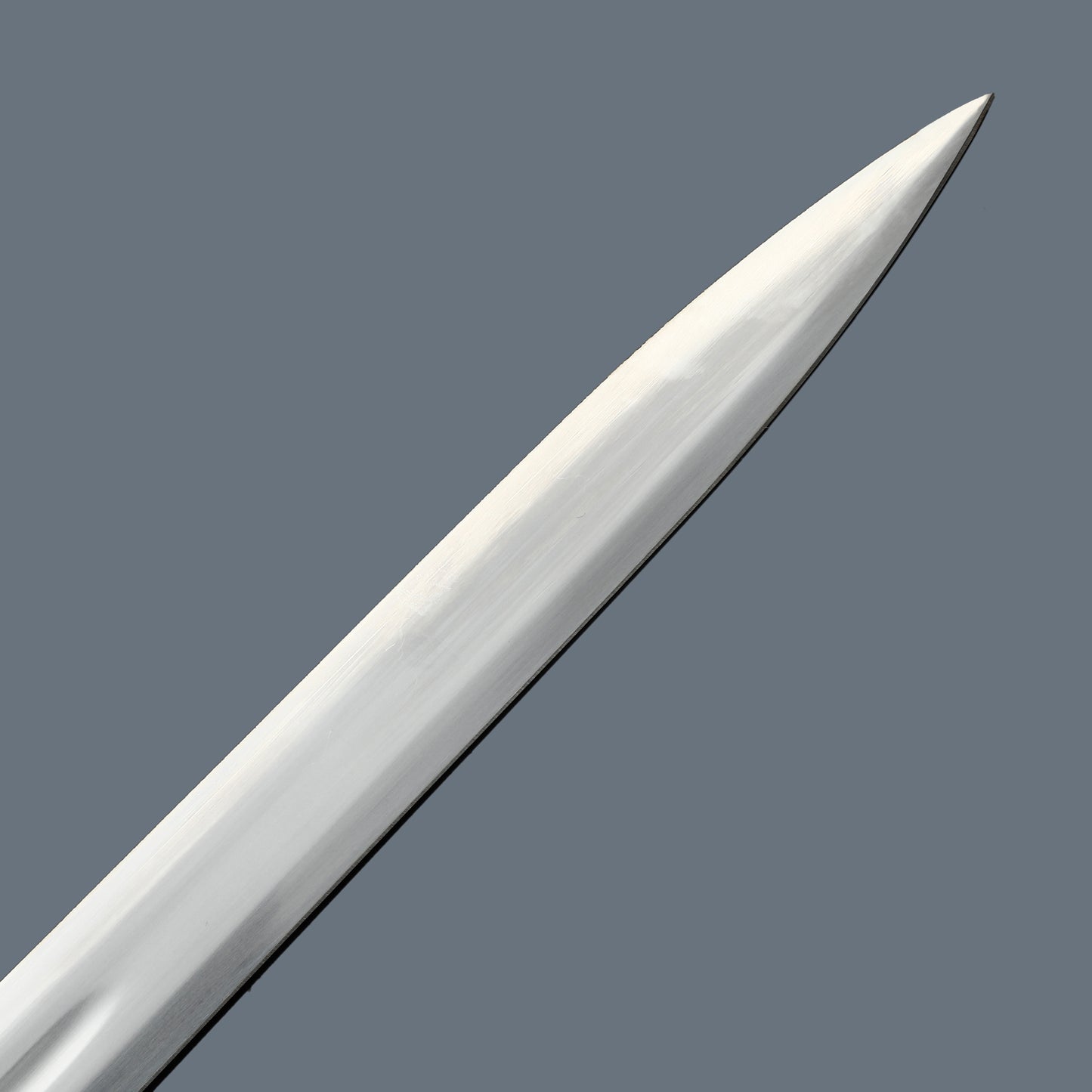 (13)EUROPEAN SWORD