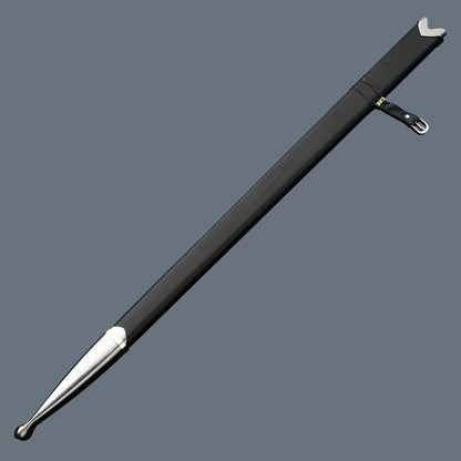 (14)EUROPEAN SWORD